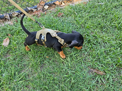 Whinhyepet Tag Harness