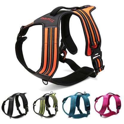 Heavy Duty Sports Harness