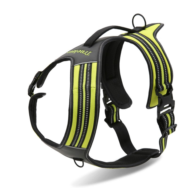 Heavy Duty Sports Harness