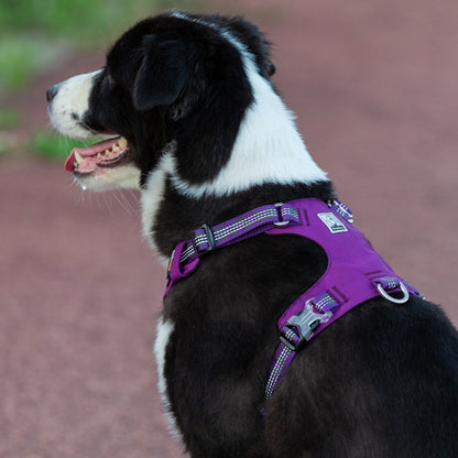 Whinhyepet Tag Harness