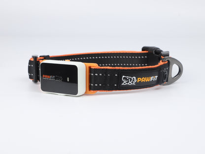 PAWFIT 3 Series Collar