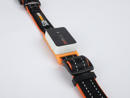 PAWFIT 3 Series Collar