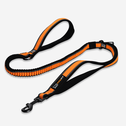 Pawfit Leash