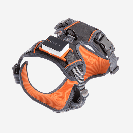 PAWFIT 3 Harness - Tracker Mount