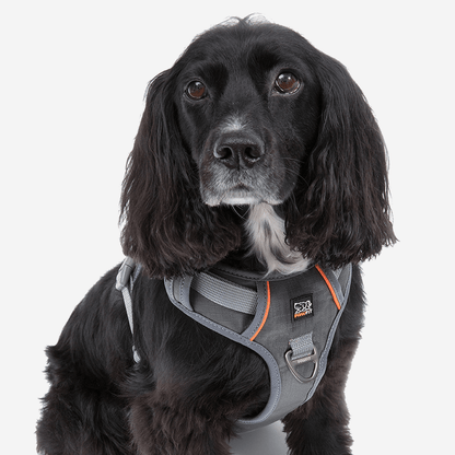 PAWFIT 3 Harness - Tracker Mount