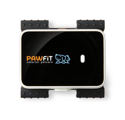 PAWFIT 3 - Fitness Dog GPS Tracker