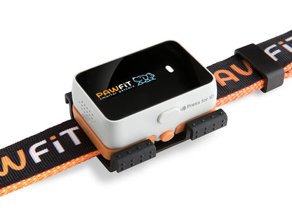 PAWFIT 3 - Fitness Dog GPS Tracker