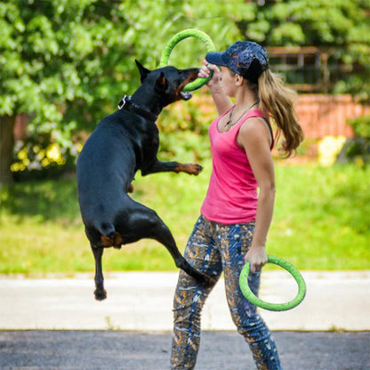 Flying Disc Training Ring Toy