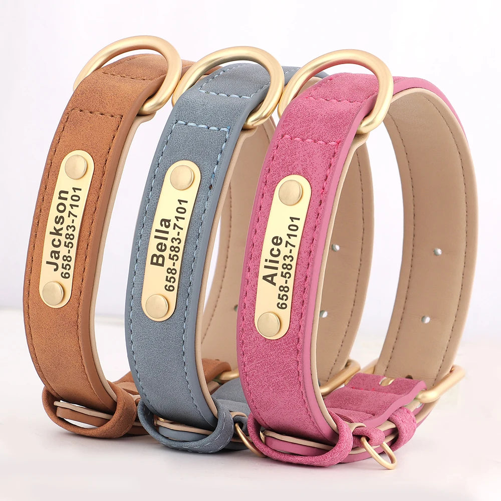 Artiste Personalised Dog Collar