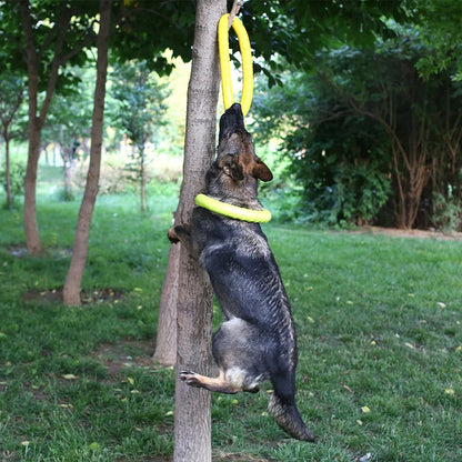 Flying Disc Training Ring Toy