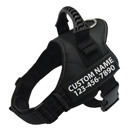 Enzo Personalised Dog Harness