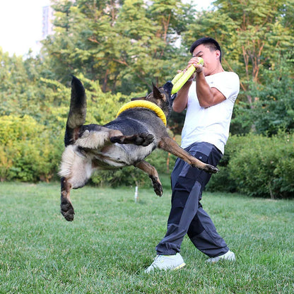 Flying Disc Training Ring Toy