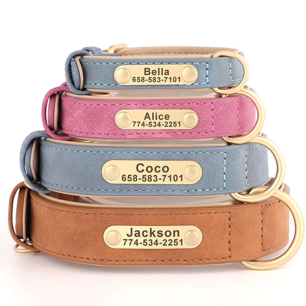 Artiste Personalised Dog Collar