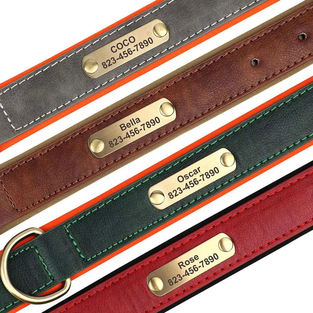 Artiste Personalised Dog Collar