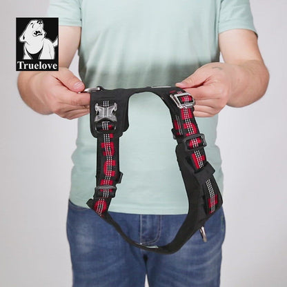 Lightweight Omega Harness