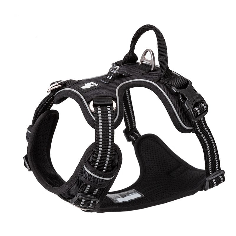 Enzo Dog Harness - No Pull