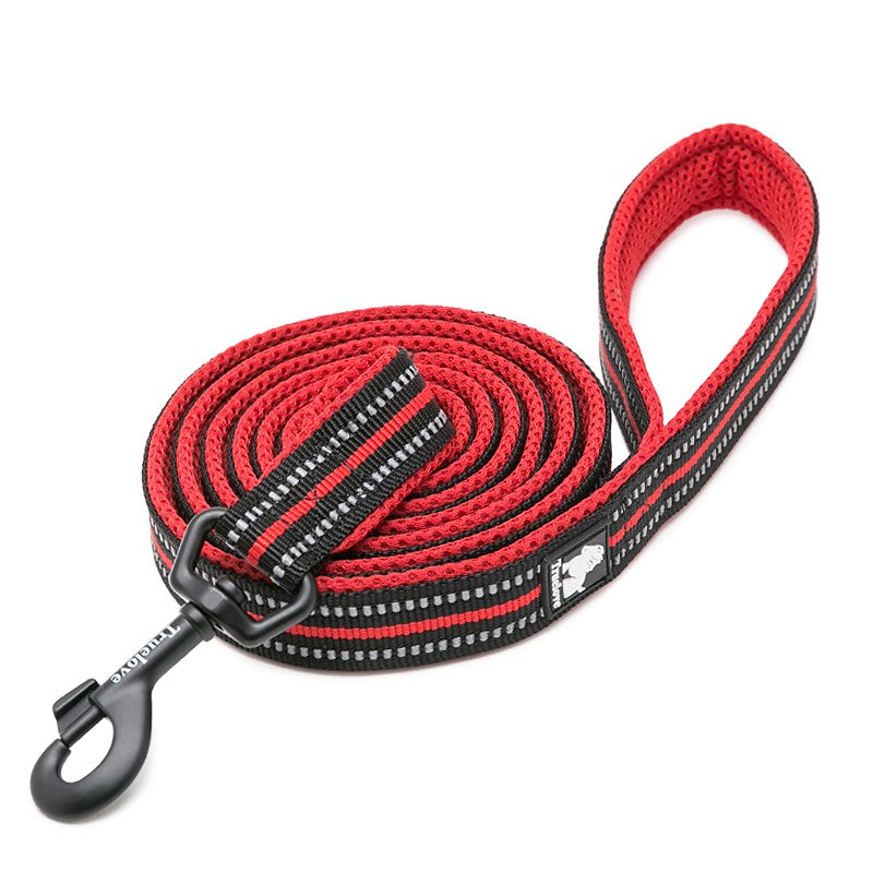 Sport ReflectivePet Leash 2 m