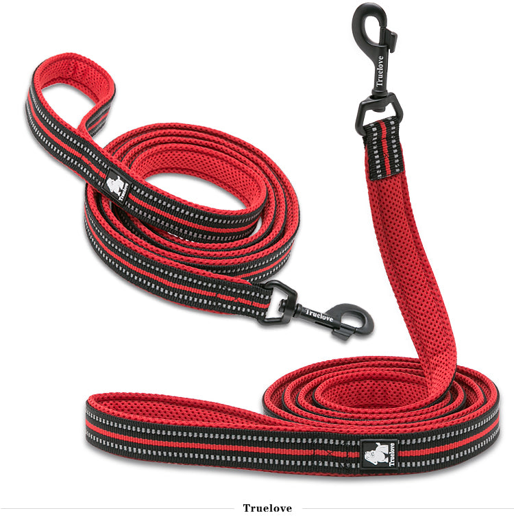 Sport ReflectivePet Leash 2 m