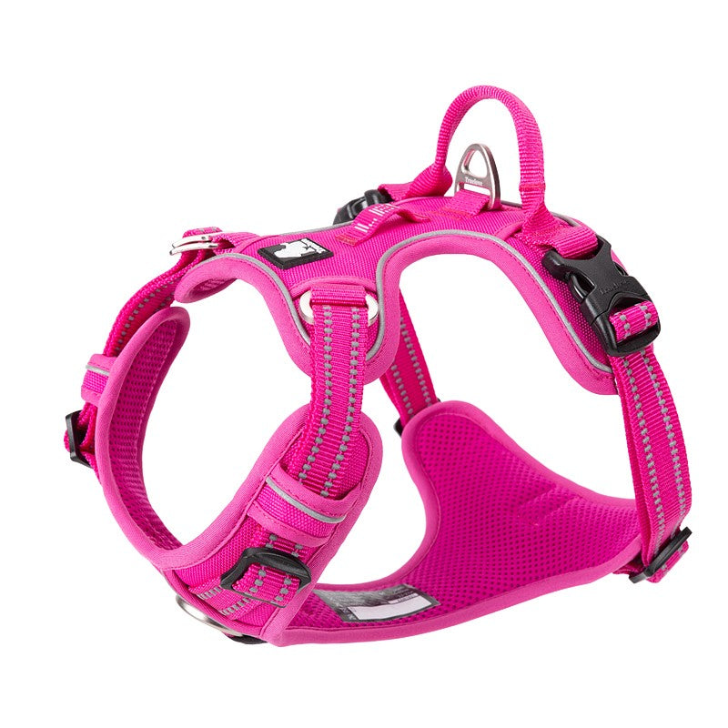 Enzo Dog Harness - No Pull