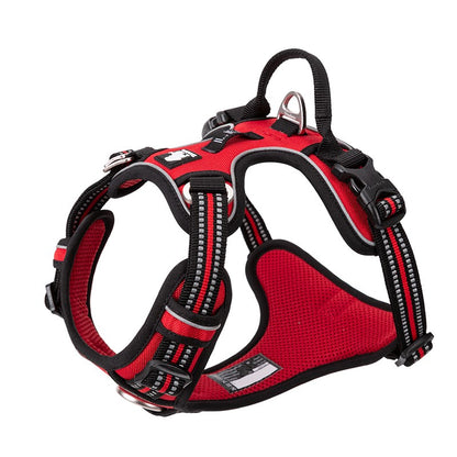 Enzo Dog Harness - No Pull