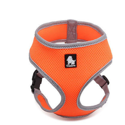 Skippy Harness With Steel D Ring