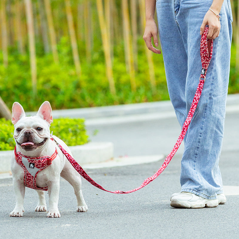 Floral Multi Handle Dog Lead