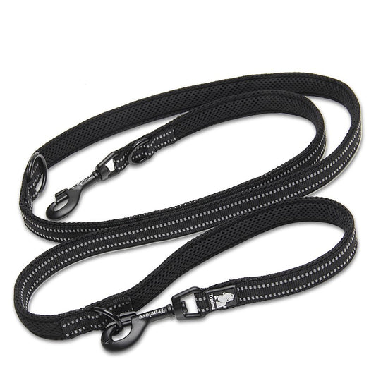 Mult-function leash