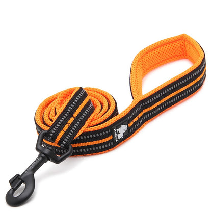 Sport ReflectivePet Leash 2 m