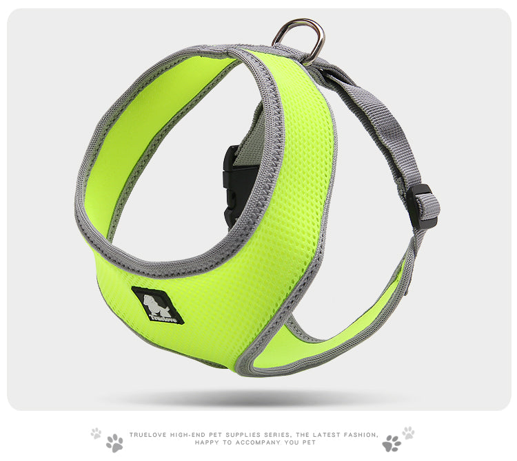 Skippy Harness With Steel D Ring