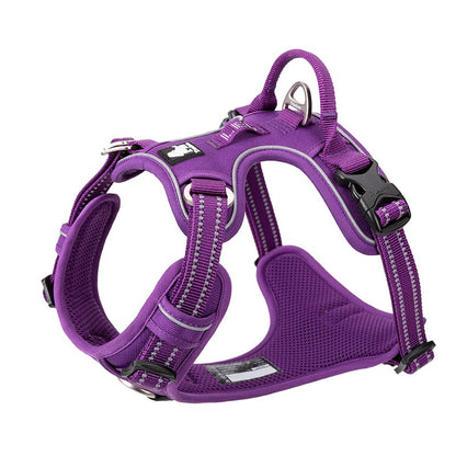 Enzo Dog Harness - No Pull