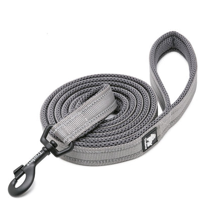 Sport ReflectivePet Leash 2 m