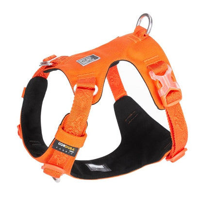Lightweight Harness - Special Edition
